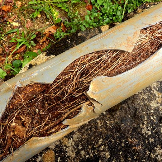 Same Day Drain Sewer & Rooter Pros Across New London